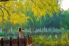 国产一区二区欧美-国产一区二区欧美的文化交融与艺术探索
