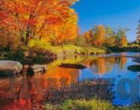 糖心app最新会员兑换码-探索糖心APP最新会员兑换秘笈，解锁专属福利